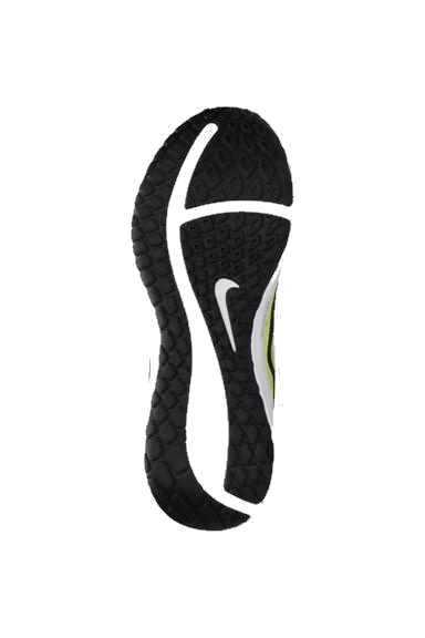 Zapatilla