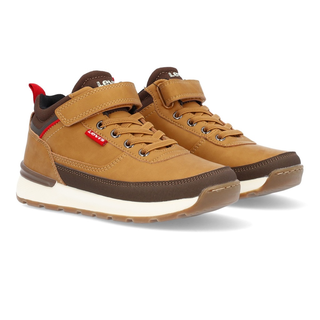 Bota