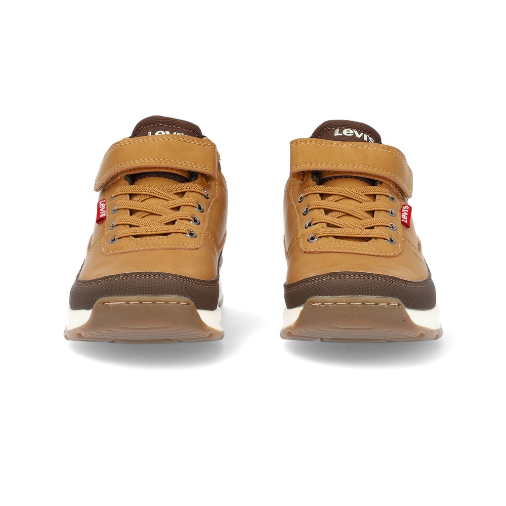 Bota