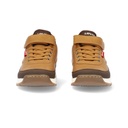 Bota