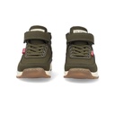 Bota