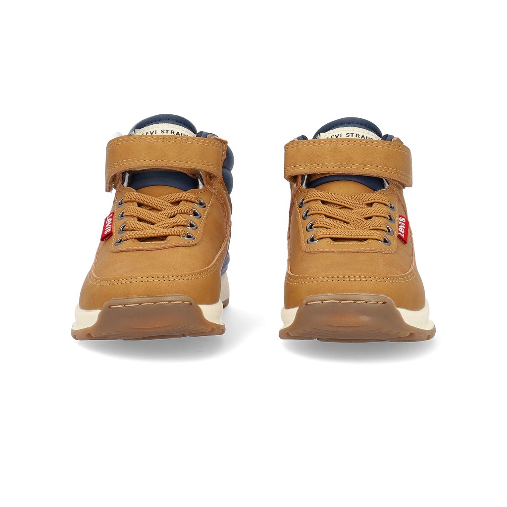 Bota