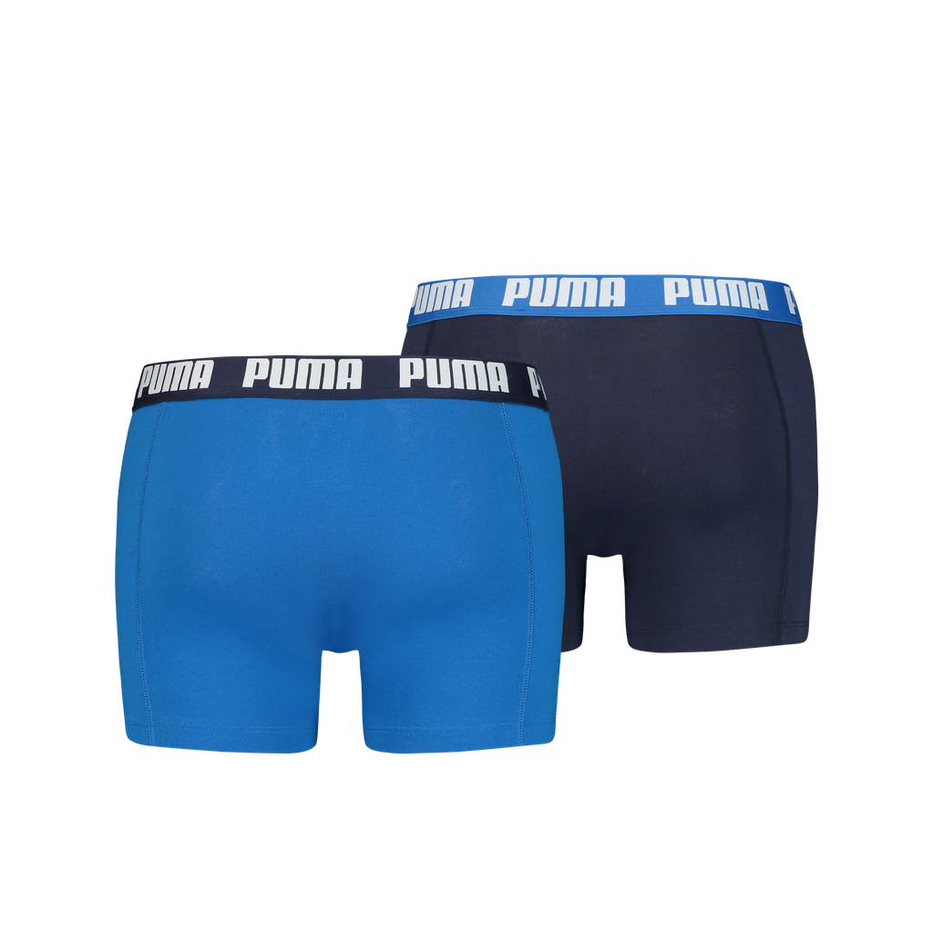 Boxer
