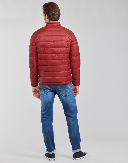 Chaqueta