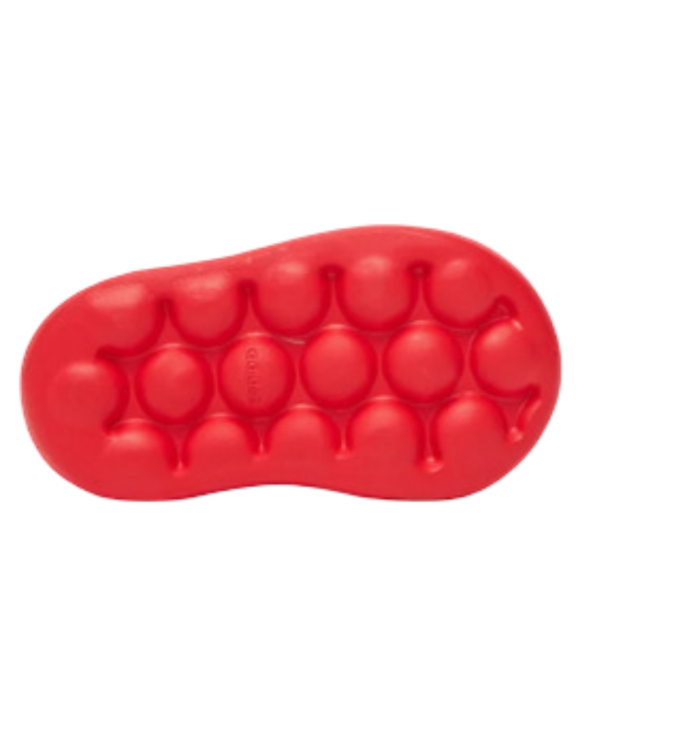 Zapatilla