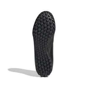 Bota