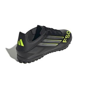 Bota