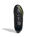 Bota