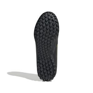 Bota