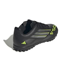 Bota