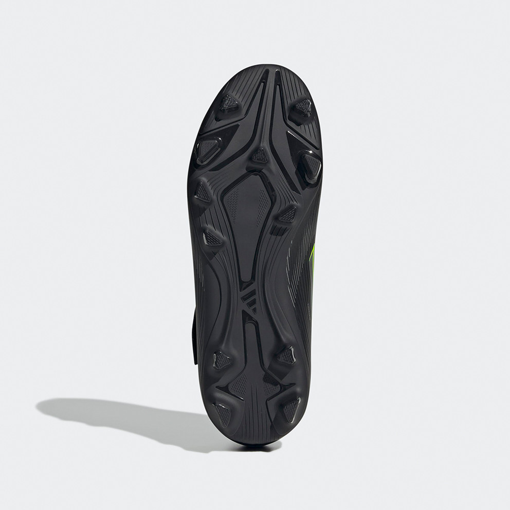 Bota