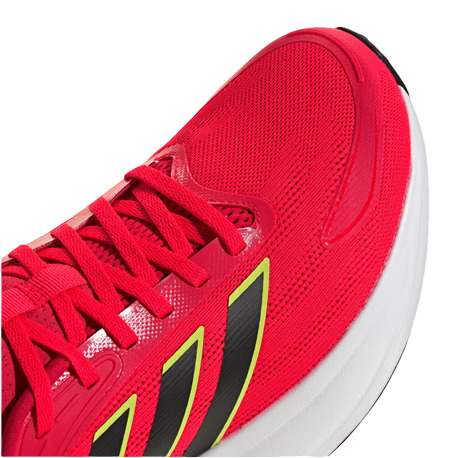 Zapatilla