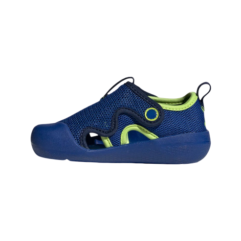 Zapatilla