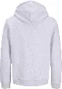 12298491 GRIS_1.webp