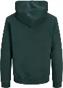 12298491 VERDE_1.webp