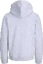 12298494 Gris_.webp