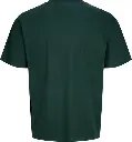 12298470 Verde_1.webp