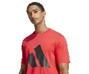 JE8934_4.webp