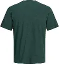 12298488 Verde_1.webp