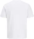 12298488 Blanco_1.webp