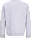 12298492 Gris_1.webp