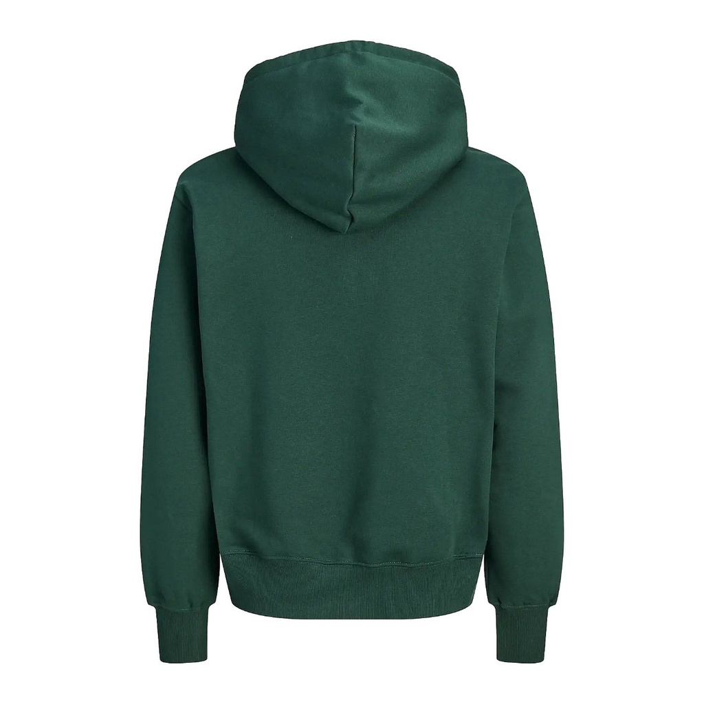 12300022 Verde_1.webp