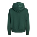 12300022 Verde_1.webp