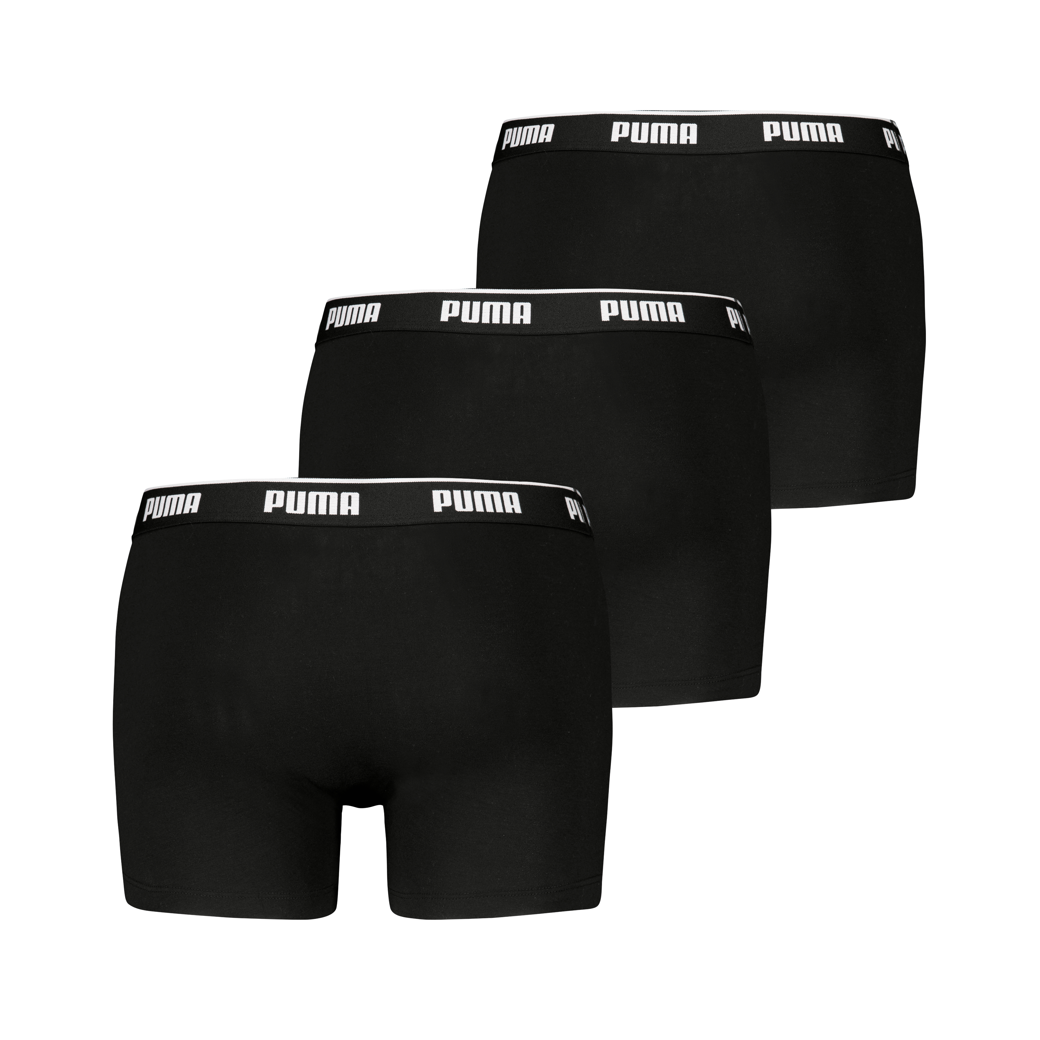 Boxer