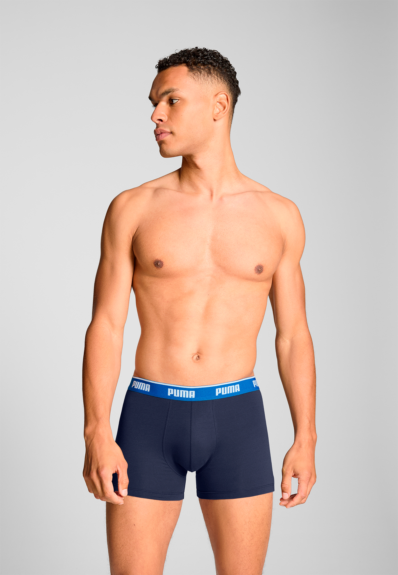 Boxer