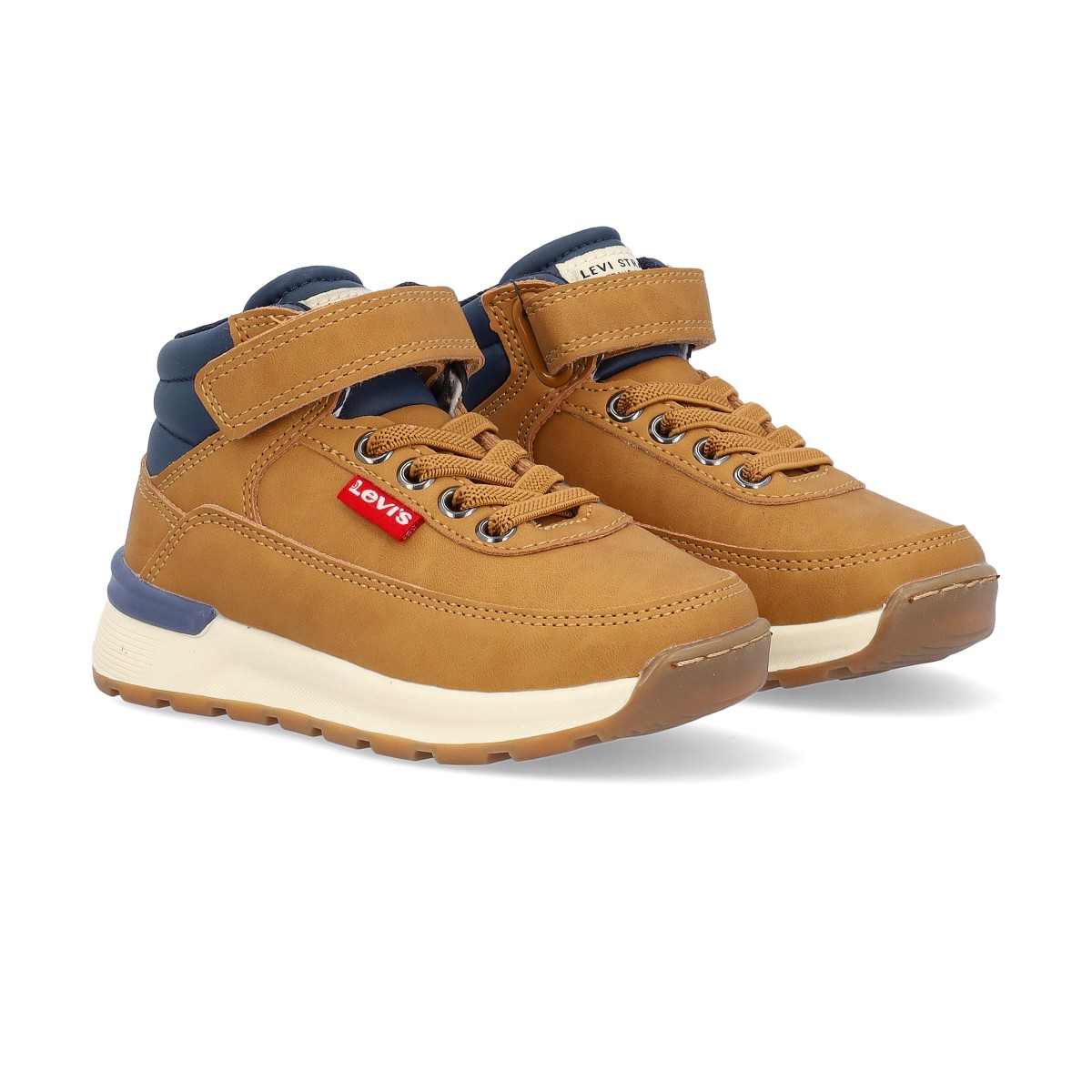 Bota