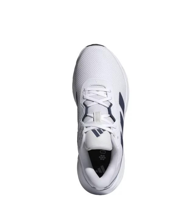 Zapatilla