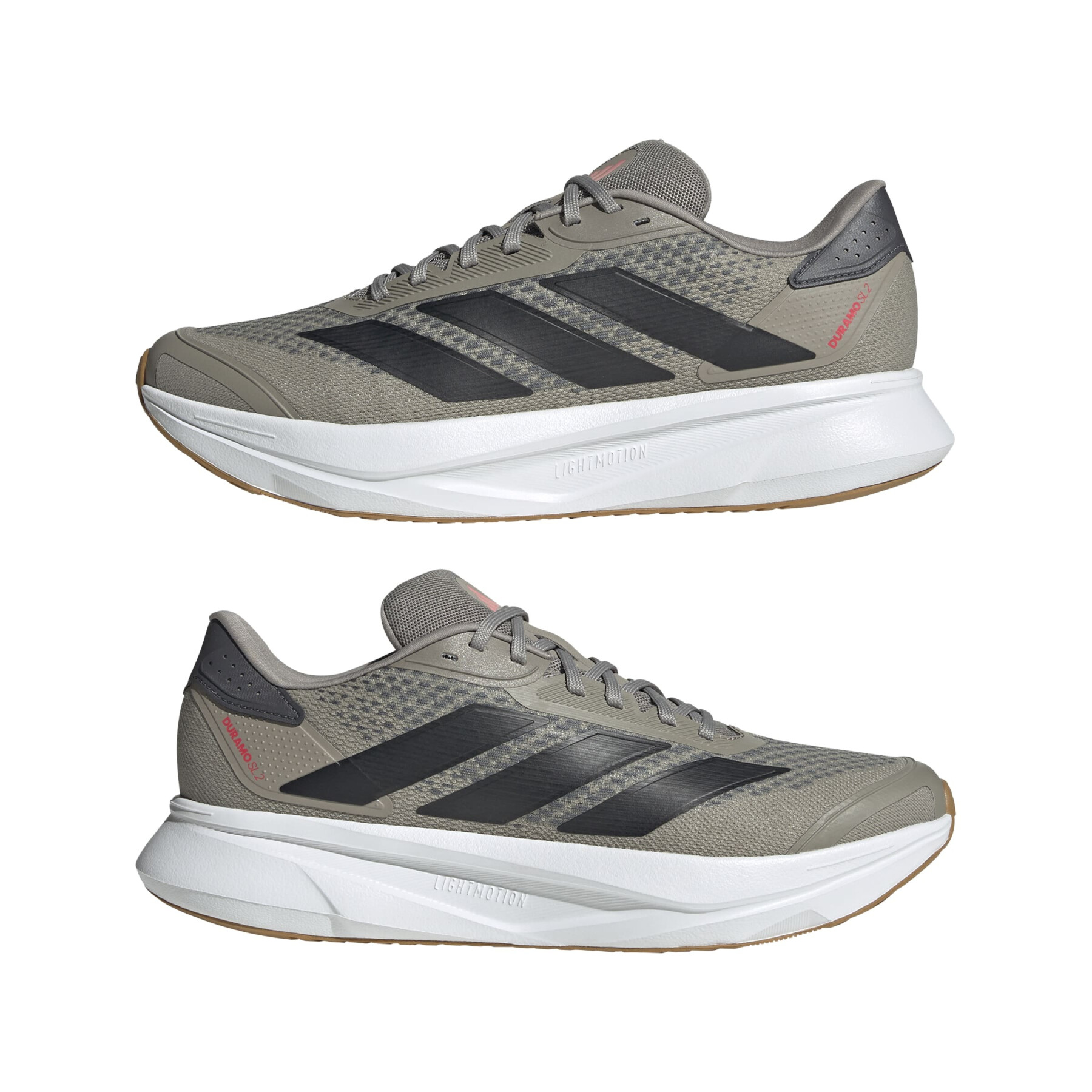 Zapatilla