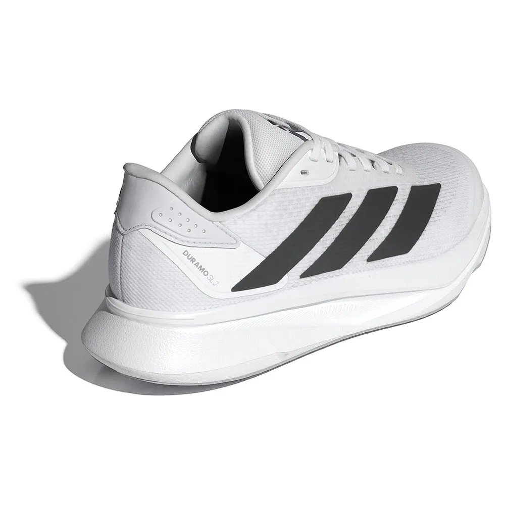 Zapatilla