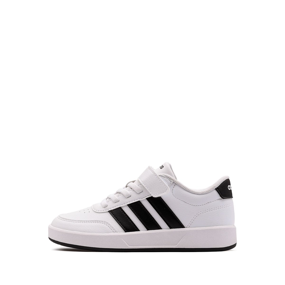 Zapatilla