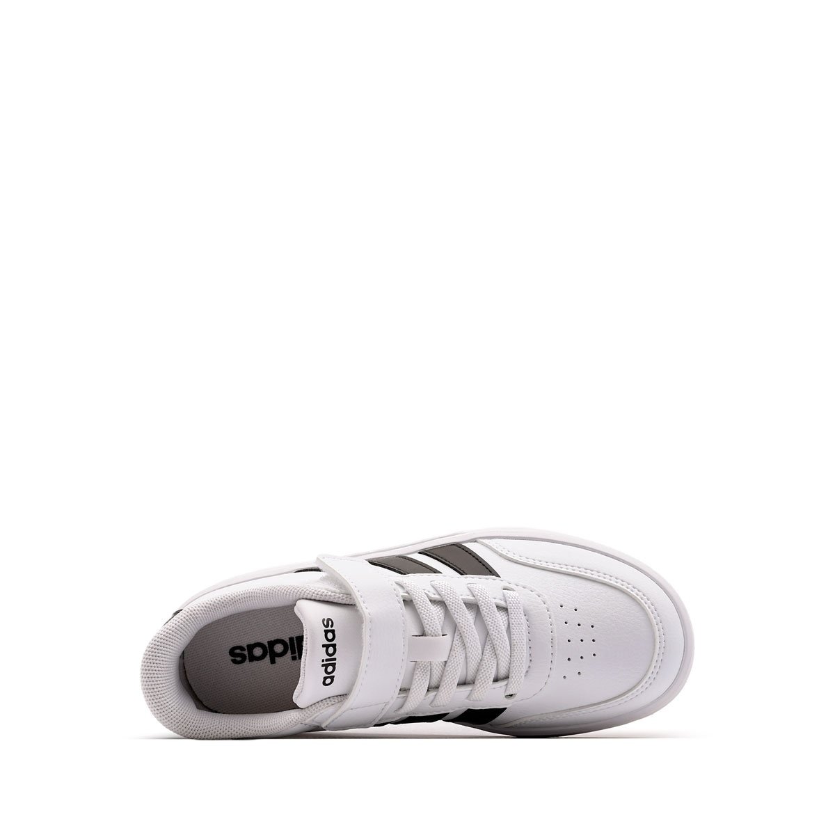 Zapatilla