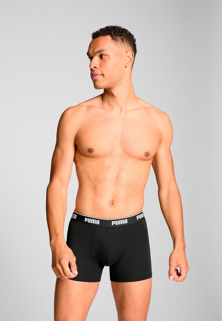 Boxer