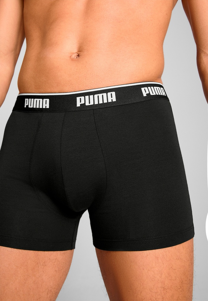 Boxer