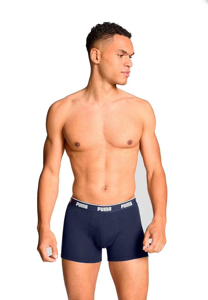 Boxer