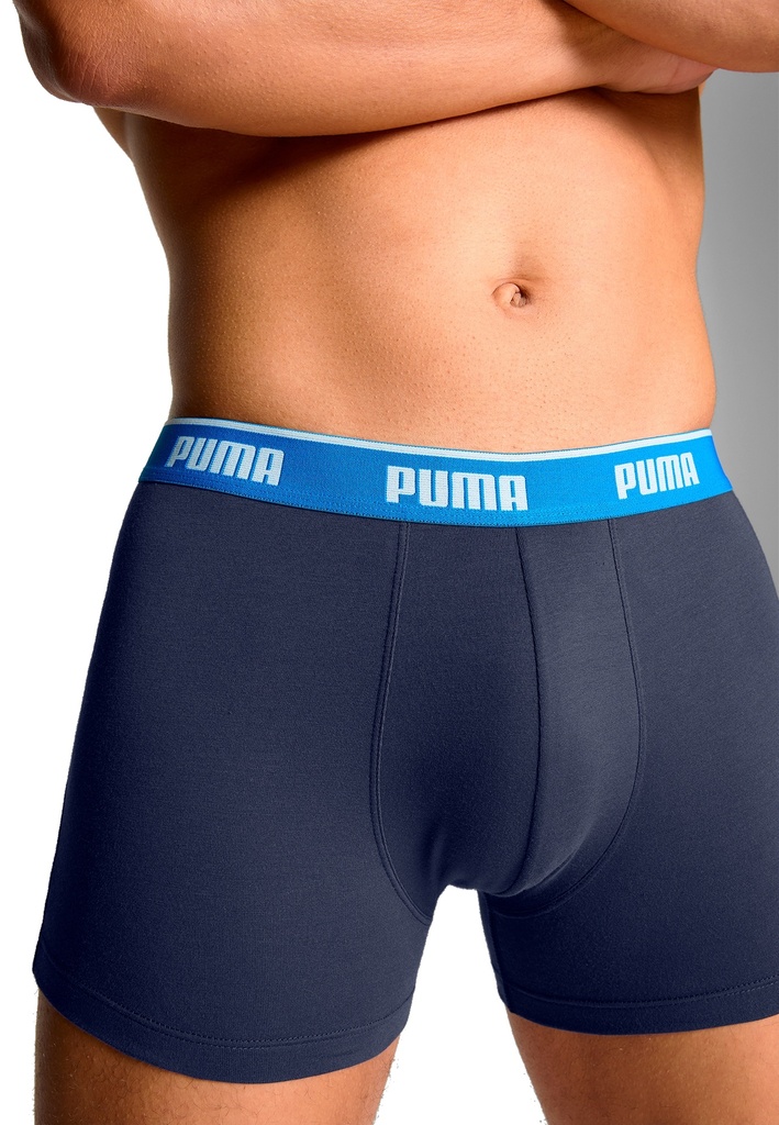 Boxer