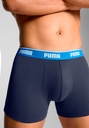 Boxer