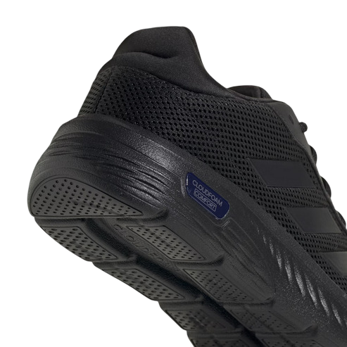 Zapatilla