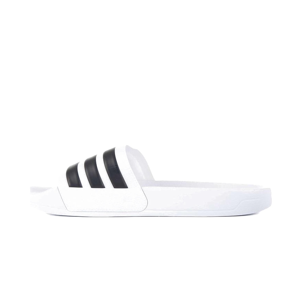 Zapatilla