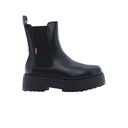 Bota
