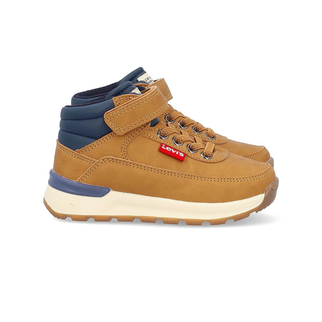 Bota