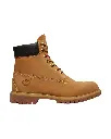 Bota