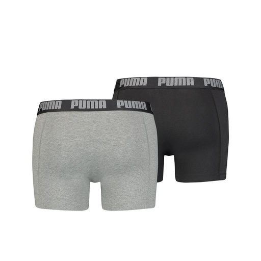 Boxer