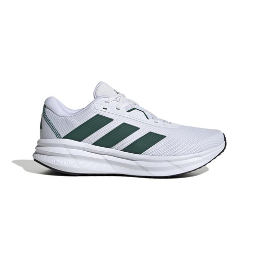 Zapatilla