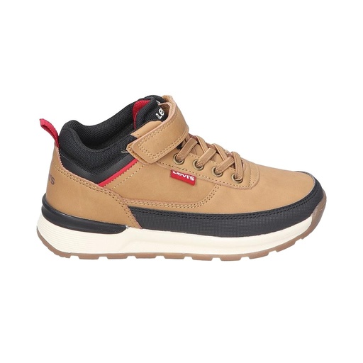 Bota