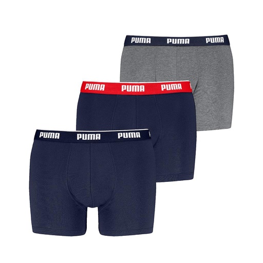 Boxer