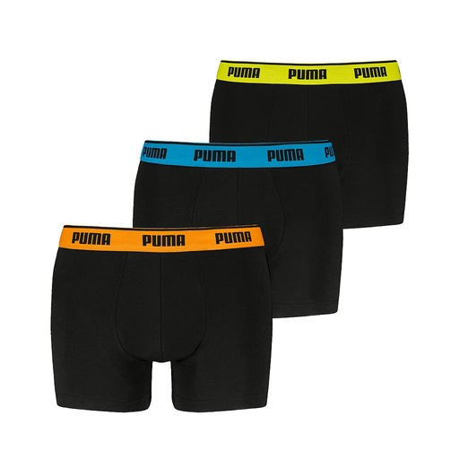 Boxer